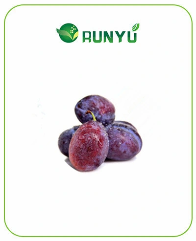 Best Price Natural Prune Fruit Powder