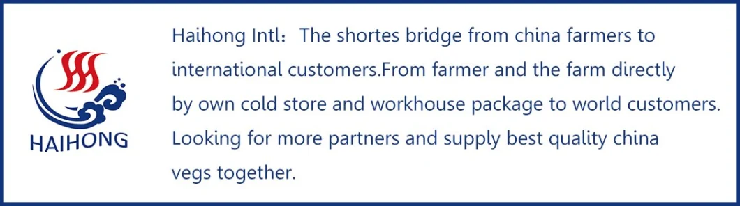 Micro-Supply of Dried Fruits and Vegetables, Okra Fruit and Vegetable Chips, Mixed Mushrooms, Carrots and Peas Snack Chips